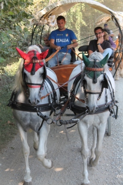 Travelling by horse drawn carriage