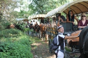 Four carriages, with outrider on mountain bike.